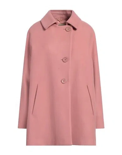 Herno Woman Coat Antique Rose Size 6 Wool, Polyamide In Pink