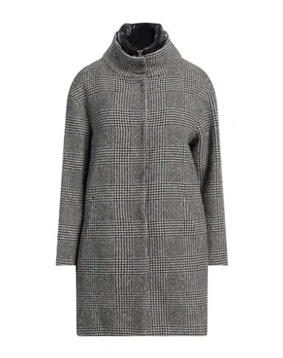 Herno Woman Coat Black Size 6 Virgin Wool, Polyamide, Metallic Fiber