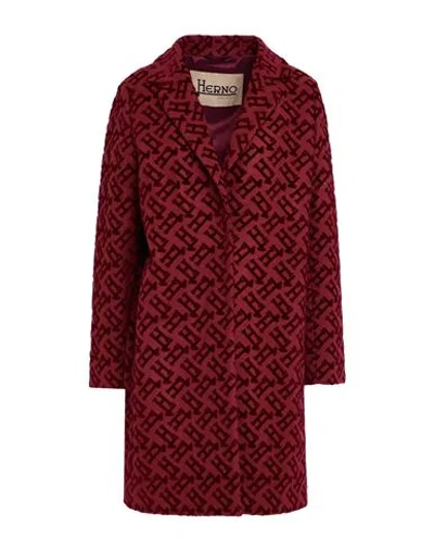 Herno Woman Coat Burgundy Size 6 Wool, Polyamide In Red