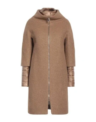 Herno Woman Coat Camel Size 10 Virgin Wool, Viscose, Polyamide, Mohair Wool In Beige