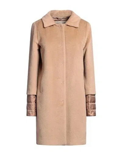 Herno Woman Coat Camel Size 6 Alpaca Wool, Virgin Wool, Polyester In Brown