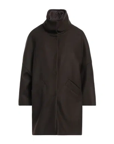 Herno Woman Coat Dark Brown Size 4 Virgin Wool, Polyamide, Polyurethane, Polyester