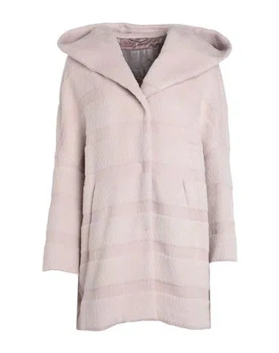 Herno Woman Coat Light Pink Size 10 Alpaca Wool, Virgin Wool