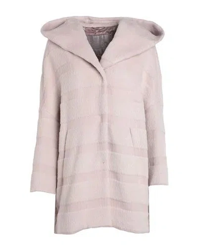 Herno Woman Coat Light Pink Size 6 Alpaca Wool, Virgin Wool
