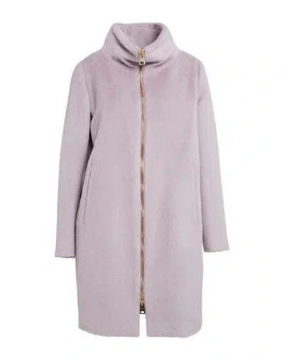 Herno Woman Coat Lilac Size 6 Alpaca Wool, Virgin Wool In Purple
