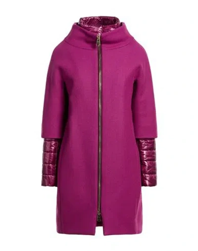 Herno Woman Coat Magenta Size 2 Virgin Wool, Polyamide In Purple