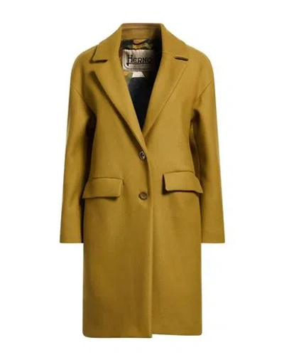 Herno Woman Coat Military Green Size 8 Virgin Wool, Polyamide