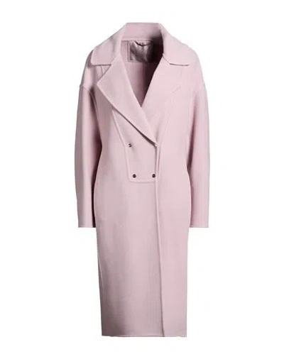 Herno Woman Coat Pink Size 12 Virgin Wool, Polyamide