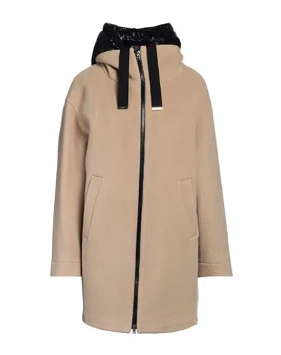 Herno Woman Coat Sand Size 6 Virgin Wool, Polyamide, Cotton, Polyester In Beige