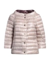 Herno Woman Down Jacket Blush Size 6 Polyamide In Pink