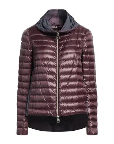 Herno Woman Down Jacket Mauve Size 6 Polyamide In Purple