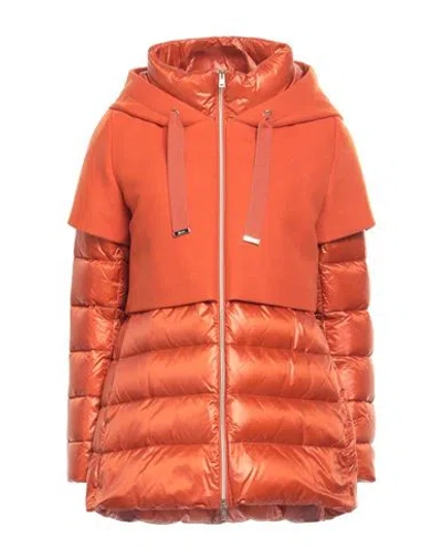 Herno Woman Down Jacket Orange Size 6 Wool, Polyamide, Cotton, Acetate