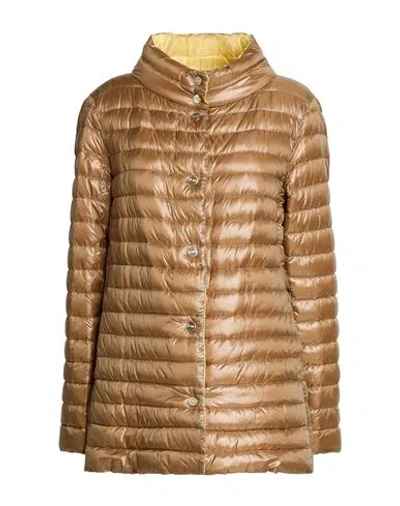 Herno Woman Jacket Black Size 2 Polyamide, Elastane In Brown