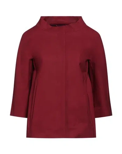 Herno Woman Jacket Burgundy Size 12 Cotton, Elastane In Red