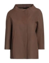 Herno Woman Jacket Chocolate Brown Size 10 Cotton, Elastane In Brown