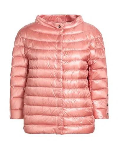 Herno Woman Puffer Antique Rose Size 8 Polyamide In Pink