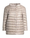 Herno Woman Puffer Beige Size 10 Polyamide, Polyester, Cotton In Silver