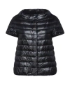 Herno Woman Puffer Black Size 6 Polyamide, Cotton, Acetate