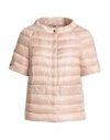 Herno Woman Puffer Blush Size 6 Polyamide In Pink