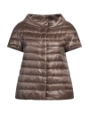 Herno Woman Puffer Brown Size 6 Polyamide, Cotton, Acetate