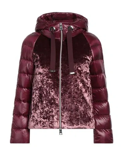 Herno Woman Puffer Burgundy Size 2 Polyester, Elastane, Polyamide, Cotton, Acetate In Red