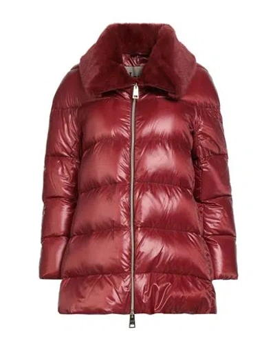 Herno Woman Puffer Burgundy Size 6 Polyamide, Polyester In Red