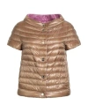 Herno Woman Puffer Camel Size 14 Polyamide In Brown