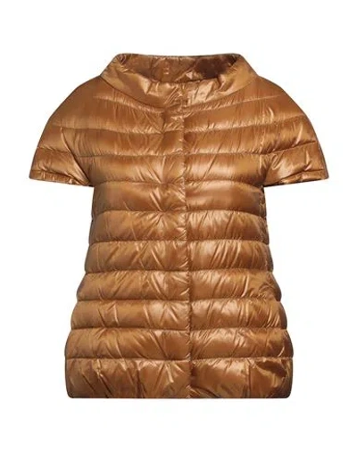 Herno Woman Puffer Camel Size 6 Polyamide, Cotton, Acetate In Beige