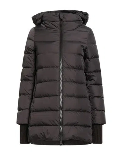 Herno Woman Puffer Dark Brown Size 0 Polyamide, Wool, Elastane In Brown