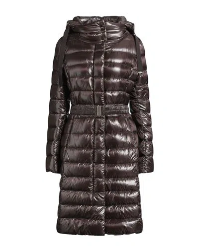 Herno Woman Puffer Dark Brown Size 10 Polyamide