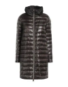 Herno Long Quilted Jacket High Collar In Brown