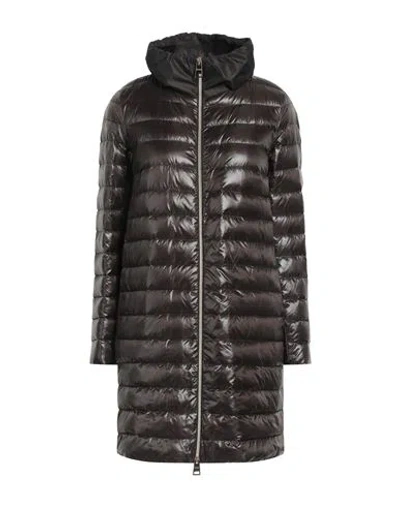 HERNO HERNO WOMAN PUFFER DARK BROWN SIZE 8 POLYAMIDE, POLYESTER