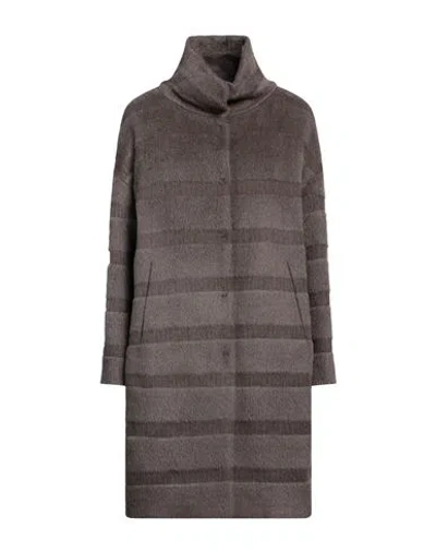 Herno Woman Puffer Grey Size 14 Alpaca Wool, Virgin Wool, Cotton, Acetate In Brown