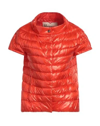 Herno Iconico Woman Puffer Orange Size 6 Polyamide, Cotton, Acetate