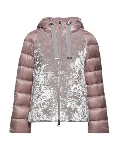 Herno Woman Puffer Antique Rose Size 0 Polyester, Elastane, Polyamide, Cotton, Acetate In Pink