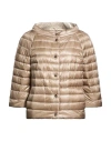 Herno Woman Puffer Taupe Size 10 Polyamide In Black