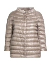 Herno Woman Puffer Taupe Size 2 Polyamide, Polyester, Cotton In Gray