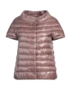Herno Woman Puffer Taupe Size 6 Polyamide, Cotton, Acetate In Grey