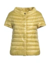 Herno Iconico Woman Puffer Yellow Size 6 Polyamide, Cotton, Acetate In Yellow