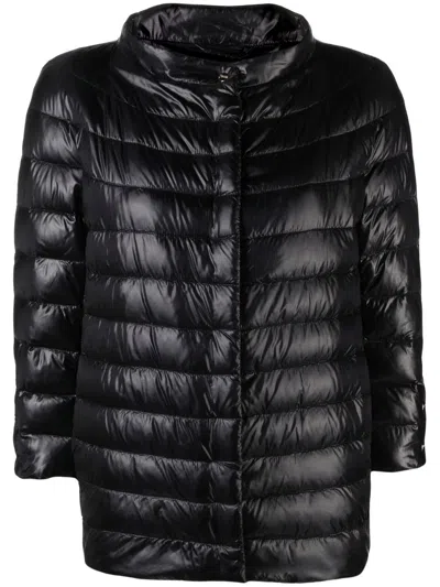 Herno Padded Coat In Black