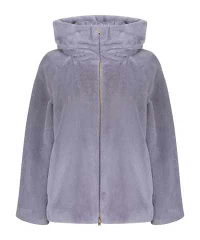 Herno Zip-up Hooded Coat In Purple
