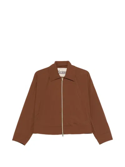 Herno Zip-up Jacket In Brown