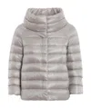 Herno Zipped Padded Jacket In Gray
