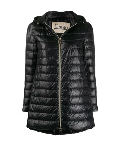 Herno Zip-up Padded Coat In Black