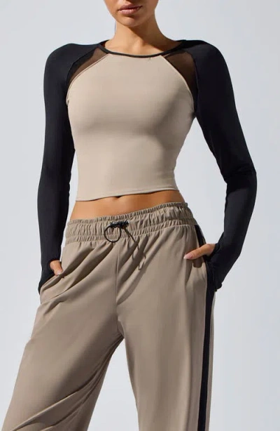 Heroine Sport Alba Mesh Crop Top In Multi