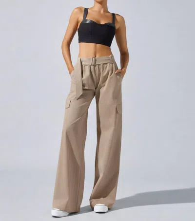 Heroine Sport Ava Performance Cargo Pants In Beige In Multi