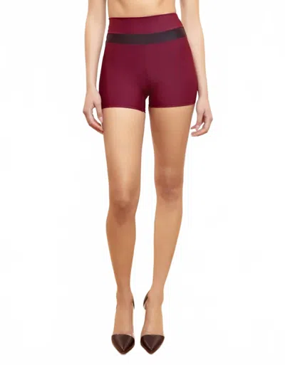 Heroine Sport Nova High-support Performance Shorts In Plum In Burgundy