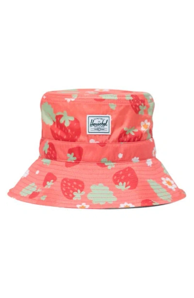 Herschel Supply Co . Kids' Beach Bucket Hat In Shell Pink Sweet Strawberries