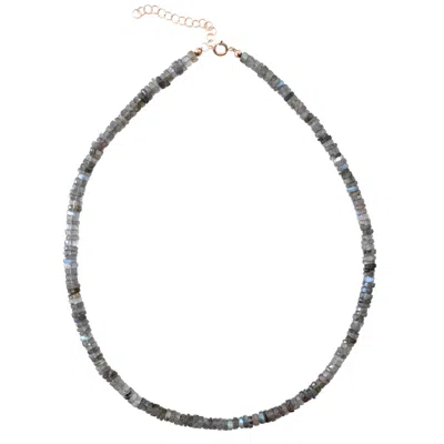 Herself Collections Women's Grey / Gold 14k Gold Labradorite Necklace In Grey/gold