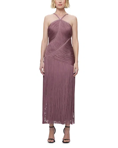 Herve Leger Women's Asymmetric Draped Fringe Halter Gown In Mauve